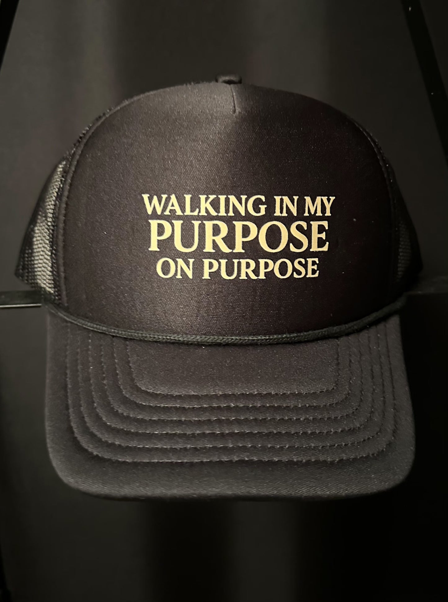 WALKING IN MY PURPOSE Hat